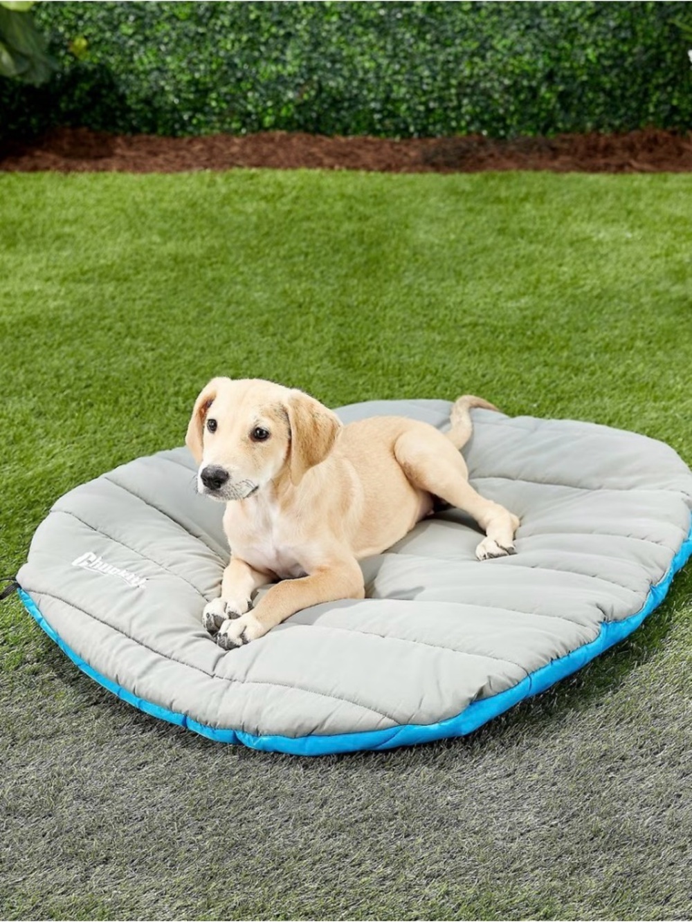 ChuckIt Travel Pet Bed - Unused - DISC SHIPPING